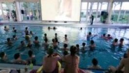 Videóban foglalták össze a TIFF eddigi eseményeit