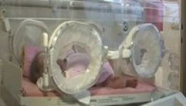 A kihelyezett inkubátorok 150 magyar újszülött életét mentették meg