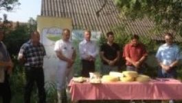 A szövetkezet a háromszékiek válasza a tejválságra