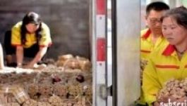 Négy tonna aprópénzzel vásárolt luxusautót egy kínai üzletember