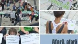 „Viszlát, erdő, szia, árvíz!”