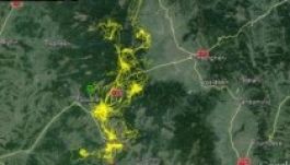 Lelőtt egy barnamedvét egy farkaslakai orvvadász