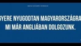 Egy nap alatt rengeteg pénz gyűlt a Kétfarkú Kutyapárt ellenkampányára