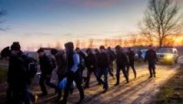 Több mint háromszáz határsértőt tartóztattak fel a magyar rendőrök