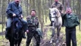 Erdőőrségek felállításával akadályoznák meg az erdőirtásokat