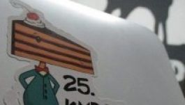 Tetőtéri partival ünnepli 25 éves fennállását a KMDSZ