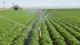 Erdélyi vízzel öntözik a magyarországi vetést