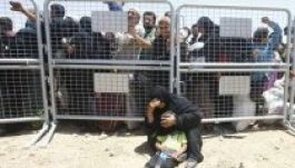 AI: több mint 50 millió az otthonukból elűzöttek száma