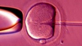 Megtagadta a bíróság egy nőtől, hogy megszülje saját unokáját