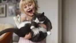 Skizofréniát okozhat a macskában élő parazita