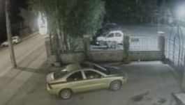 Medve kukkantott be egy csíksomlyói szálloda udvarára (VIDEÓ)