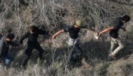 Fidesz: idén 60 ezer menekült érkezett, 99%-uk a szerb határon