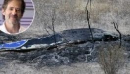 Meghalt repülőbalesetben a Titanic zeneszerzője