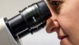 Rangos nemzetközi díjat kaptak magyar kutatók