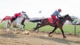 Itt a Székely Vágta programja