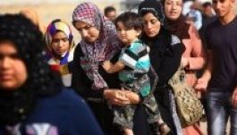 Felfüggeszti Budapest a menekültek visszafogadását