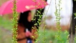 Nem sok jót jósolnak a meteorológusok csütörtökig