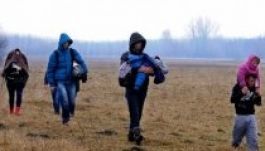 BM-államtitkár: Magyarország továbbra is betartja a dublini rendeletet