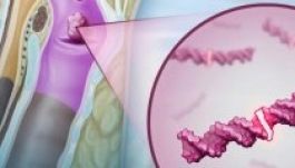 Nyálból is kimutatható lehet a gégerák és a torokrák