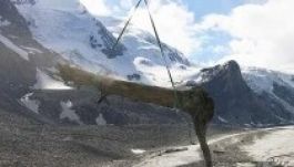 Hatezer éves fatörzset találtak Ausztriában