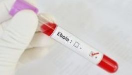 Az ebolavírus három variációját azonosították Guineában