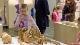 Egy hétig még látható Sepsiszentgyörgyön az antropológiai vándortárlat