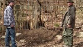 Két egyesület szövetkezett vadon élő állatok megmentéséért