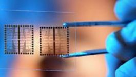 A beültetett chip előnyeit és hátrányait mérlegelték