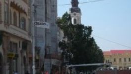 Kivágták a főtéri tölgyeket Nagyváradon