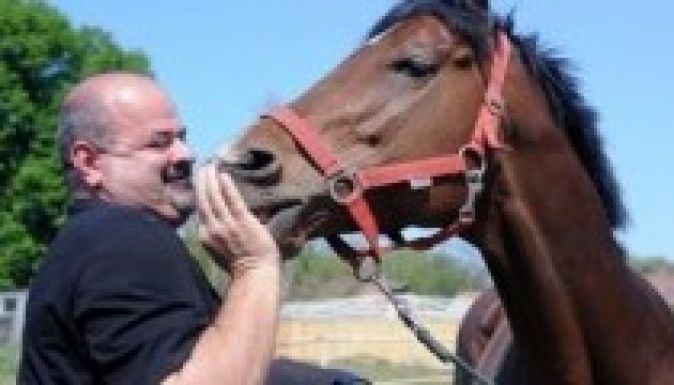 Elpusztult Overdose, a magyar csodaló