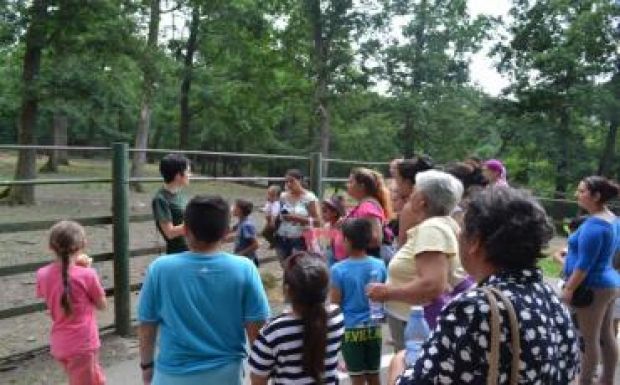 Fogd meg a roma, a román kezét