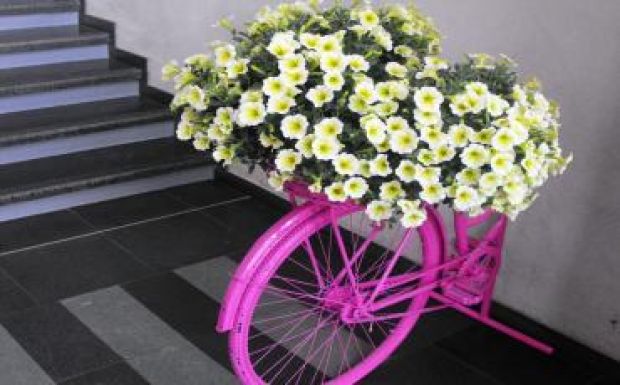 A legjobbaktól tanulnak a Sapientia kertészmérnöki karának diákjai