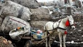 Kolozsvár Bukaresttől kér segítséget szemétügyben