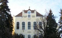 Sebestyén Mihály: Kapcsolati tőke