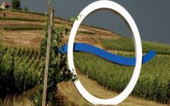 Krebsz János: Erdei tudósítás