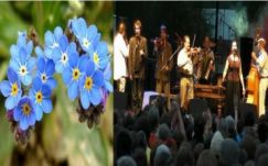 Papp Sándor Zsigmond: Muzsikás Trianon