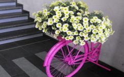 A legjobbaktól tanulnak a Sapientia kertészmérnöki karának diákjai