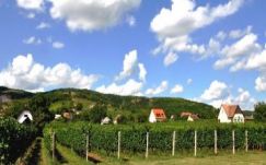 Krebsz János: Született ’97-ben