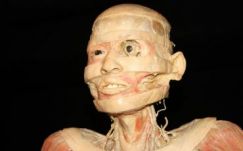 Testünk tükre, és ami azon túl van – az Our Body kiállításon jártunk Kolozsváron