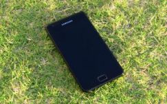 Telefont loptak a vásárhelyi Víkendtelepen