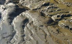 Mezőgazdasági trágyának használhatják a hordalék iszapot