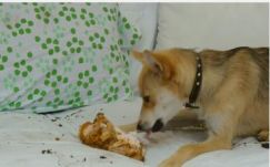 Itt a Kolozsvári Magyar Napok új videója