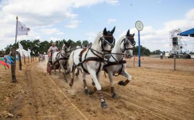 Székely négyesfogat képviseli az országot az aacheni Európa-bajnokságon