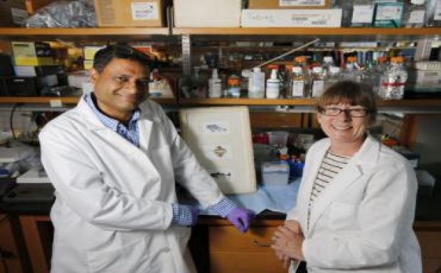 Bőrsejtekből fejlesztettek mesterséges emberi agyat