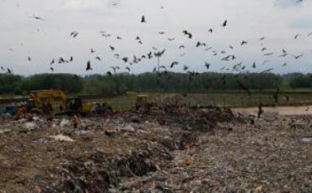 Szemétügy Kolozsváron: megtalálták az ideiglenes taroló helyét