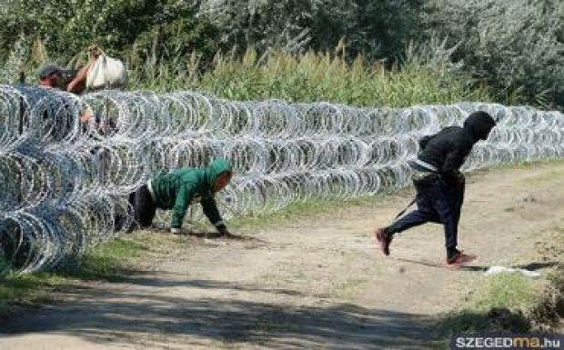 Nem akadály a menekülteknek a magyarországi vasfüggöny