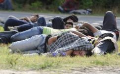 Új, mifelénk már megszűnt betegségeket hozhat a menekülthullám