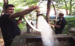 A szárazság sújtotta Hunyad megyébe tűzoltók szállítottak vizet 