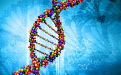 Teljesült Czeizel Endre furcsa végakarata