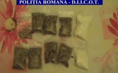 Újabb hallucinogén szereket foglaltak le Maros megyében